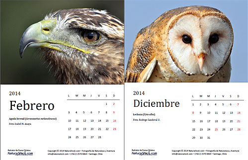 Calendario Retratos de Fauna 2014